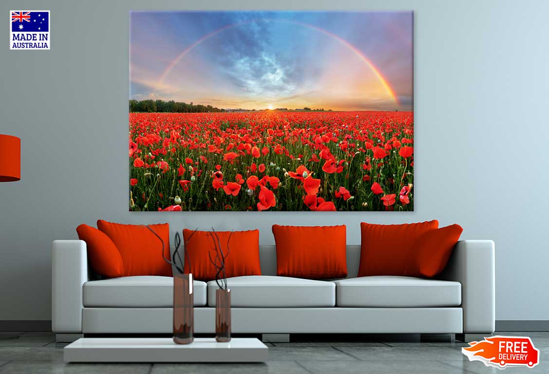 Red Poppy Field With Rainbow View Photograph Print 100% Australian Made