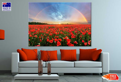 Red Poppy Field With Rainbow View Photograph Print 100% Australian Made