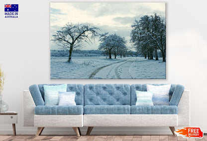 Snow Covered Pathway & Dead Trees Photograph Print 100% Australian Made