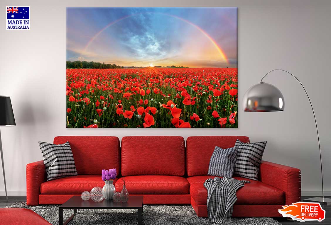 Red Poppy Field With Rainbow View Photograph Print 100% Australian Made