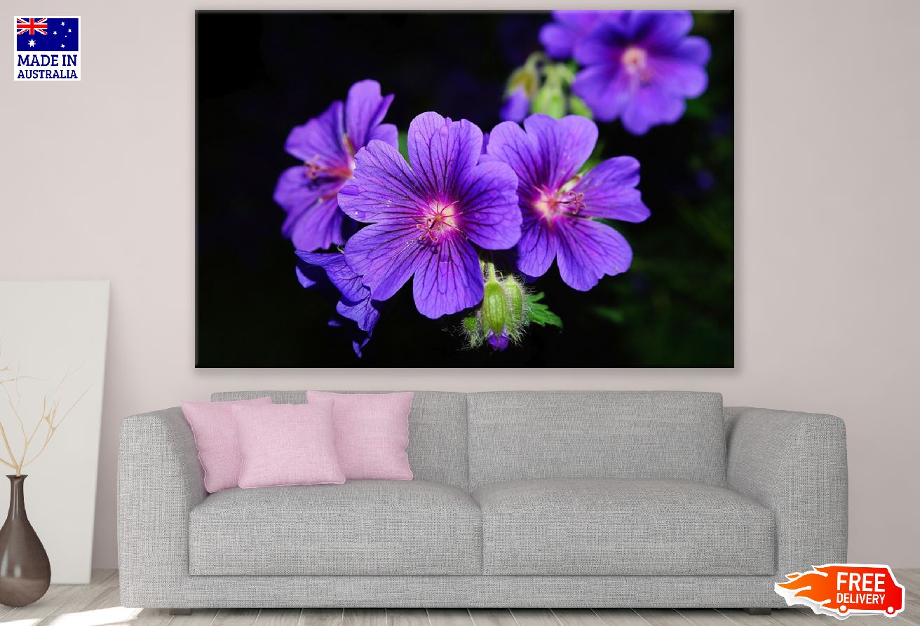Purple Violet Flowers Closeup Photograph Print 100% Australian Made