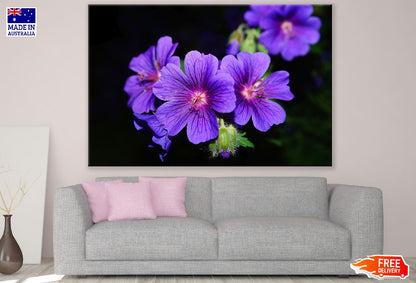 Purple Violet Flowers Closeup Photograph Print 100% Australian Made