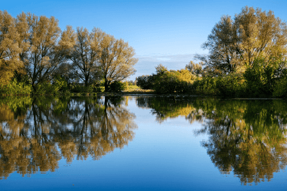 Trees & Lake Scenery Photograph Print 100% Australian Made