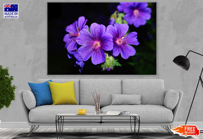 Purple Violet Flowers Closeup Photograph Print 100% Australian Made