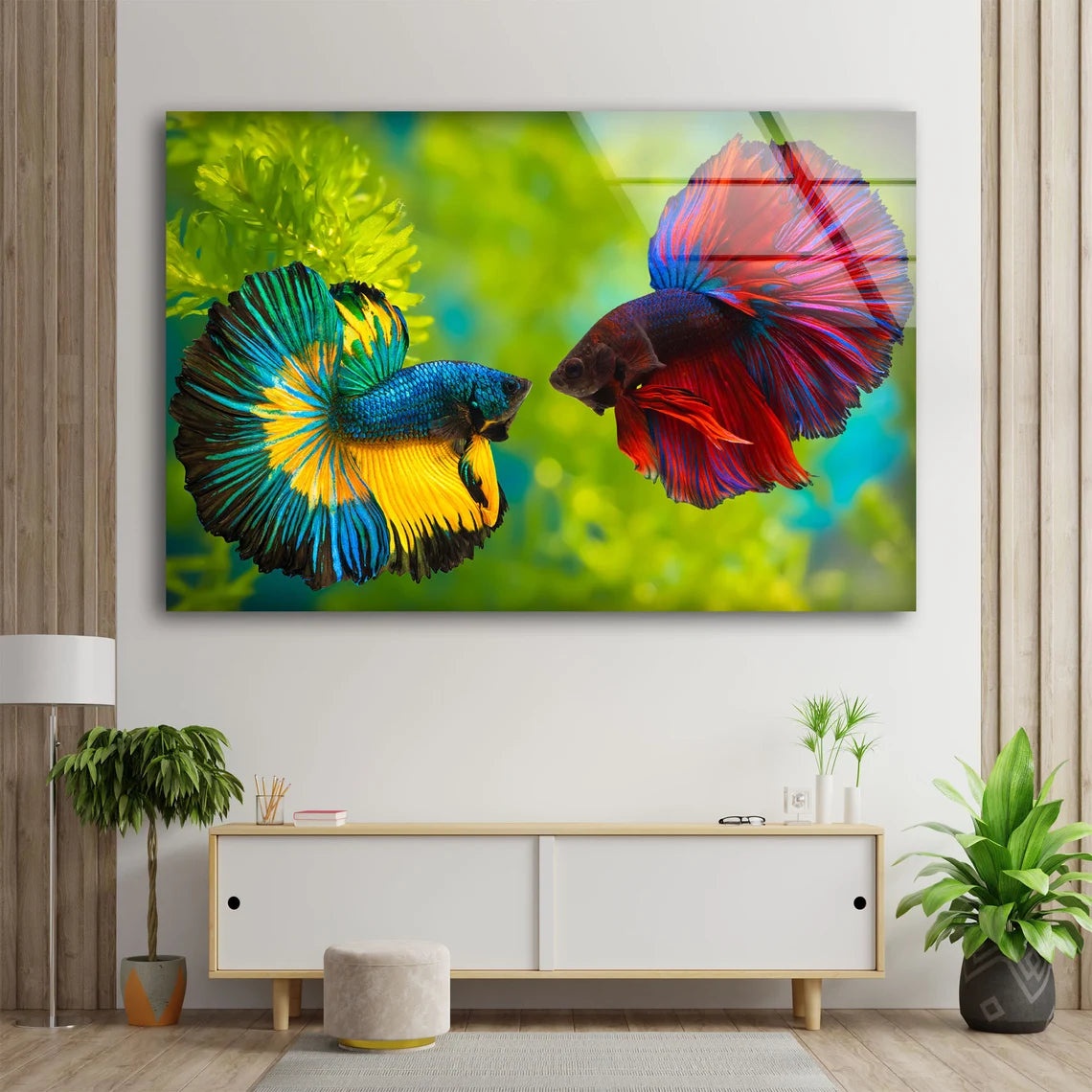 Blue & Maroon Fighter Fish Pair Photograph Acrylic Glass Print Tempered Glass Wall Art 100% Made in Australia Ready to Hang