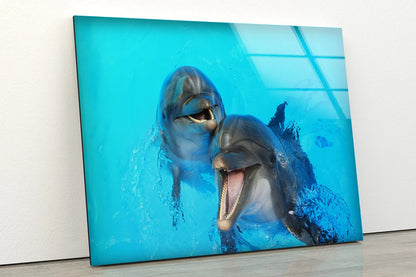 Dolphins in Water Photograph Acrylic Glass Print Tempered Glass Wall Art 100% Made in Australia Ready to Hang