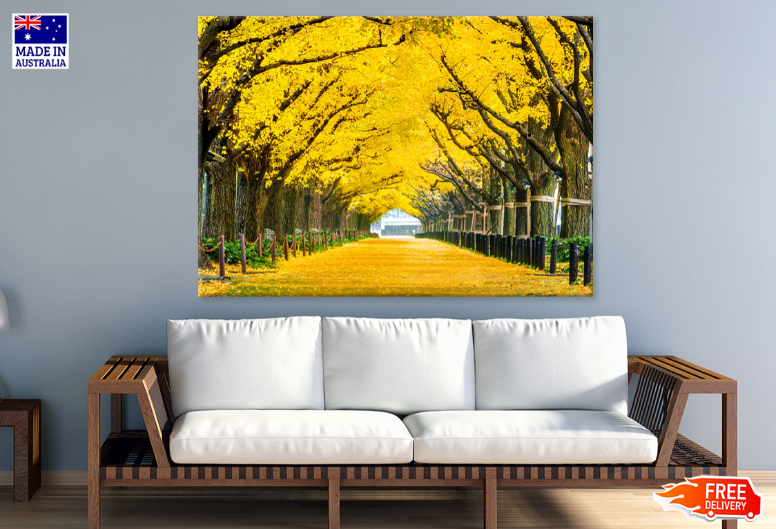 Yellow Flower Trees & Road Photograph Print 100% Australian Made