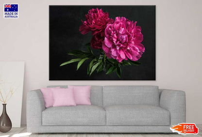Pink Peony Flowers with Leaves Photograph Print 100% Australian Made