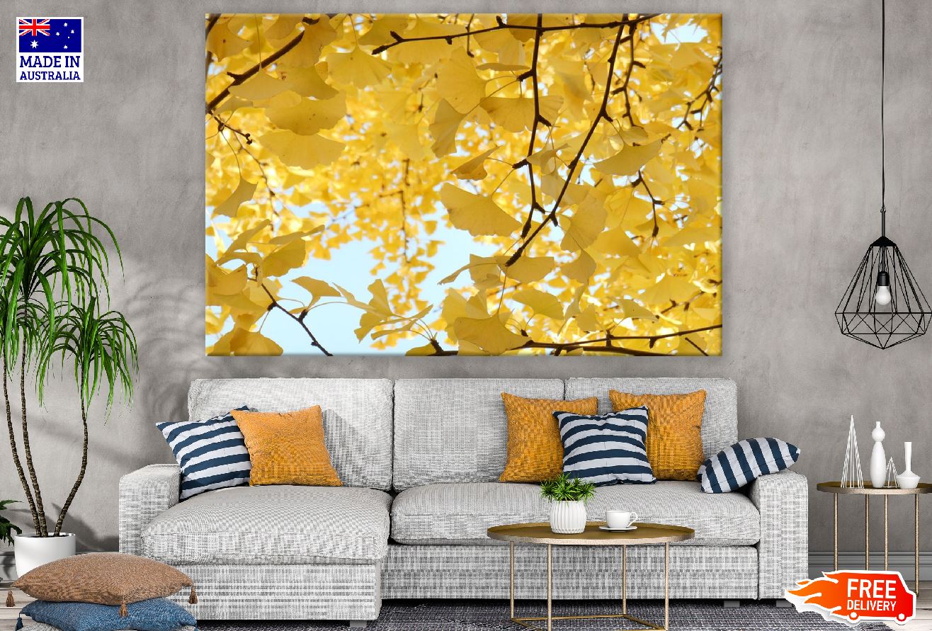 Gingko Tree Leaves View Photograph Print 100% Australian Made