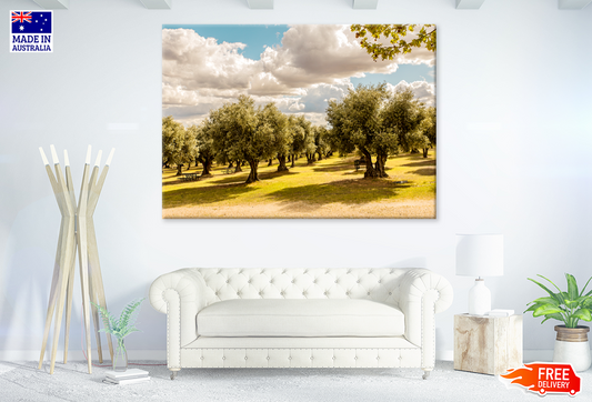 Nature Tree & Sky View Photograph Print 100% Australian Made