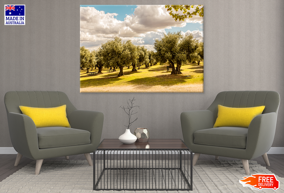 Nature Tree & Sky View Photograph Print 100% Australian Made