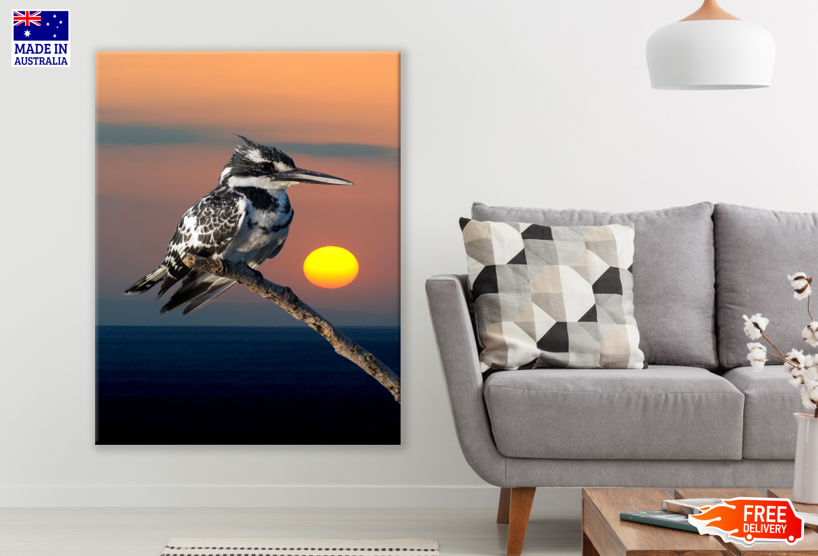 Belted kingfisher on a Branch Sunset Print 100% Australian Made