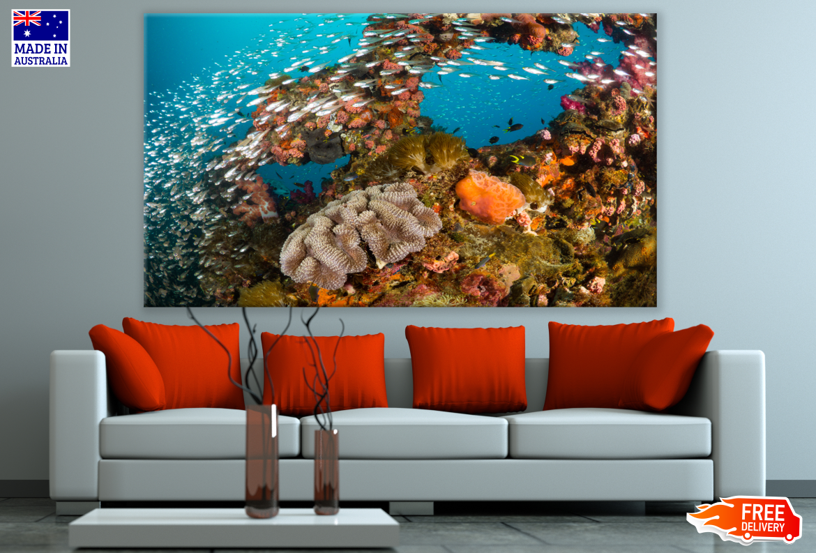 Underwater Fish & Corals Photograph Print 100% Australian Made