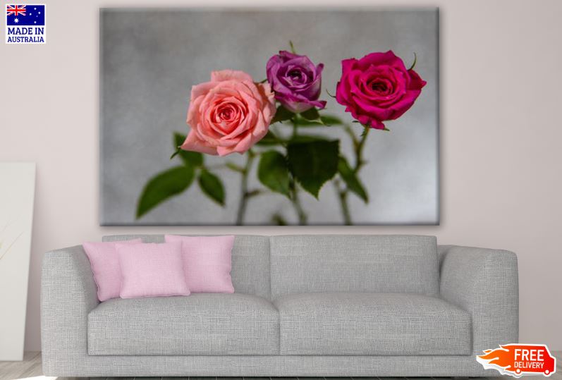 Colorful Rose Flowers Photograph Print 100% Australian Made