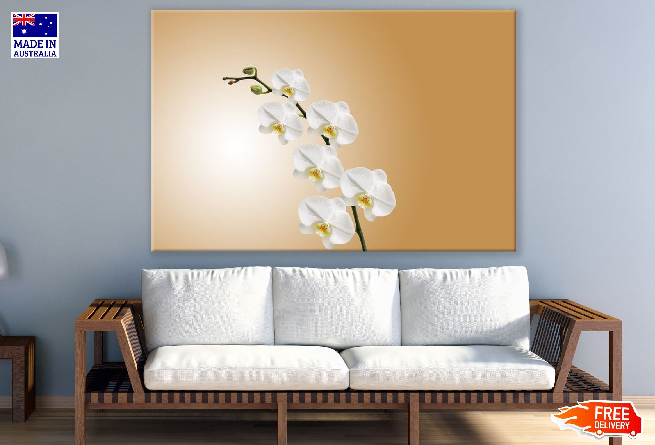 White Orchids Flowers Photograph Print 100% Australian Made