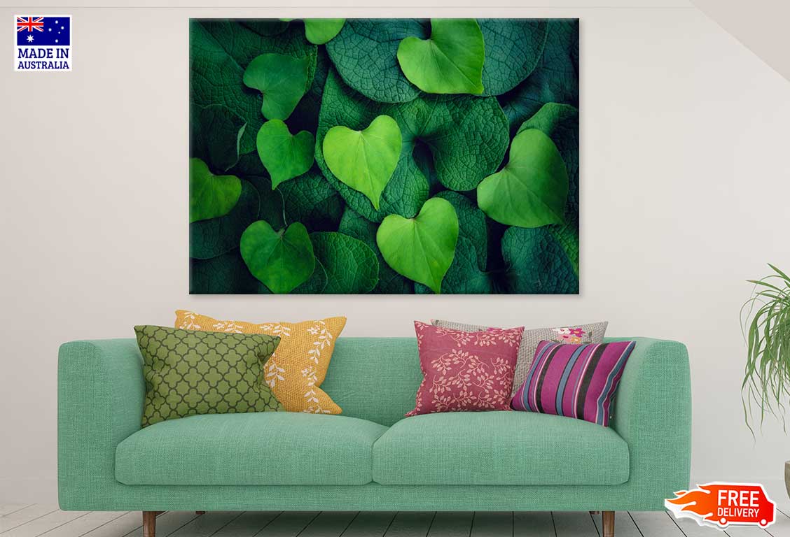 Green Hearts Leaves Photograph Print 100% Australian Made