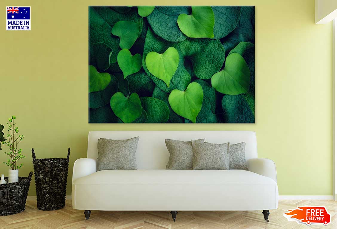 Green Hearts Leaves Photograph Print 100% Australian Made