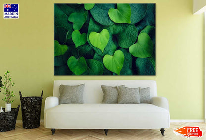 Green Hearts Leaves Photograph Print 100% Australian Made