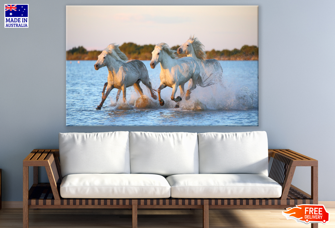 Horses Running on Water Print 100% Australian Made