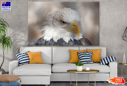 Eagle Face Portrait Print 100% Australian Made