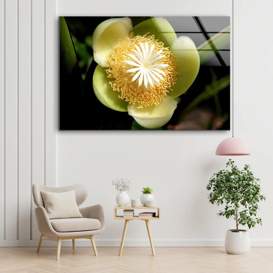 Flower Closeup Photograph Acrylic Glass Print Tempered Glass Wall Art 100% Made in Australia Ready to Hang