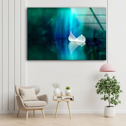 White Leaf Photograph Acrylic Glass Print Tempered Glass Wall Art 100% Made in Australia Ready to Hang