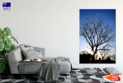 Leafless Tree & Blue Sky Sunset View Photograph Print 100% Australian Made