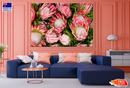 Pink Protea Flowers View Photograph Print 100% Australian Made