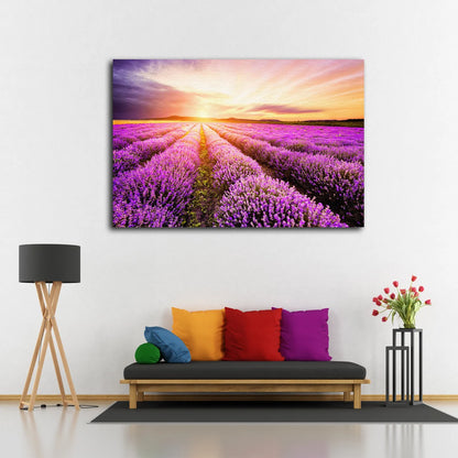 Lavender Field Sunset Scenery Photograph Acrylic Glass Print Tempered Glass Wall Art 100% Made in Australia Ready to Hang