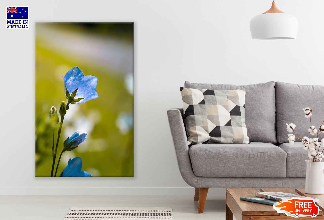 Blue Bellflower Closeup Photograph Print 100% Australian Made
