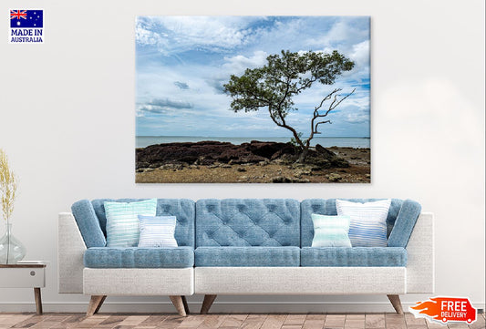 Alone Tree on Sea Shore View Photograph Print 100% Australian Made