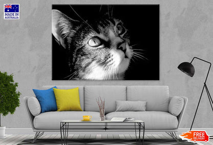 Cat Face View B&W Photograph Print 100% Australian Made