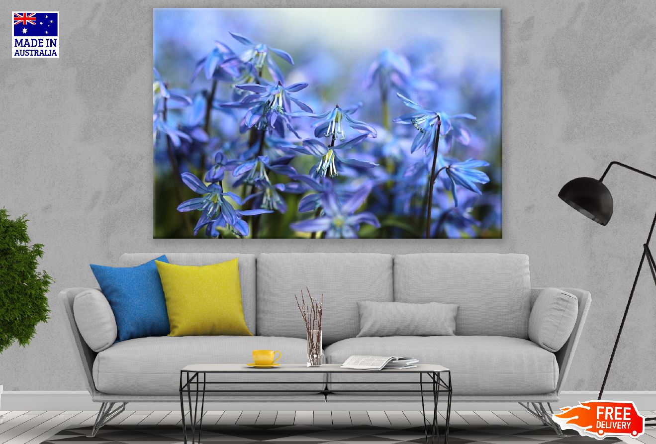 Blue Scilla Flowers Photograph Print 100% Australian Made