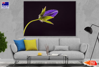 Blue Bell Flower with Leaves Closeup Photograph Print 100% Australian Made