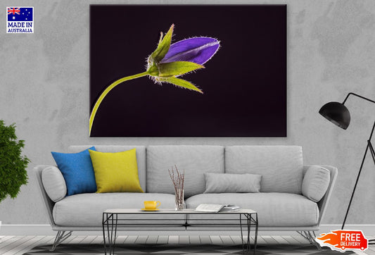 Blue Bell Flower with Leaves Closeup Photograph Print 100% Australian Made