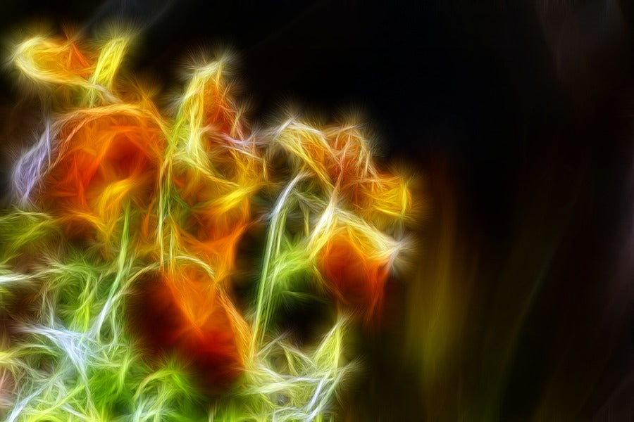 Orange Gold & Green Digital Abstract Design Print 100% Australian Made