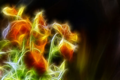 Orange Gold & Green Digital Abstract Design Print 100% Australian Made