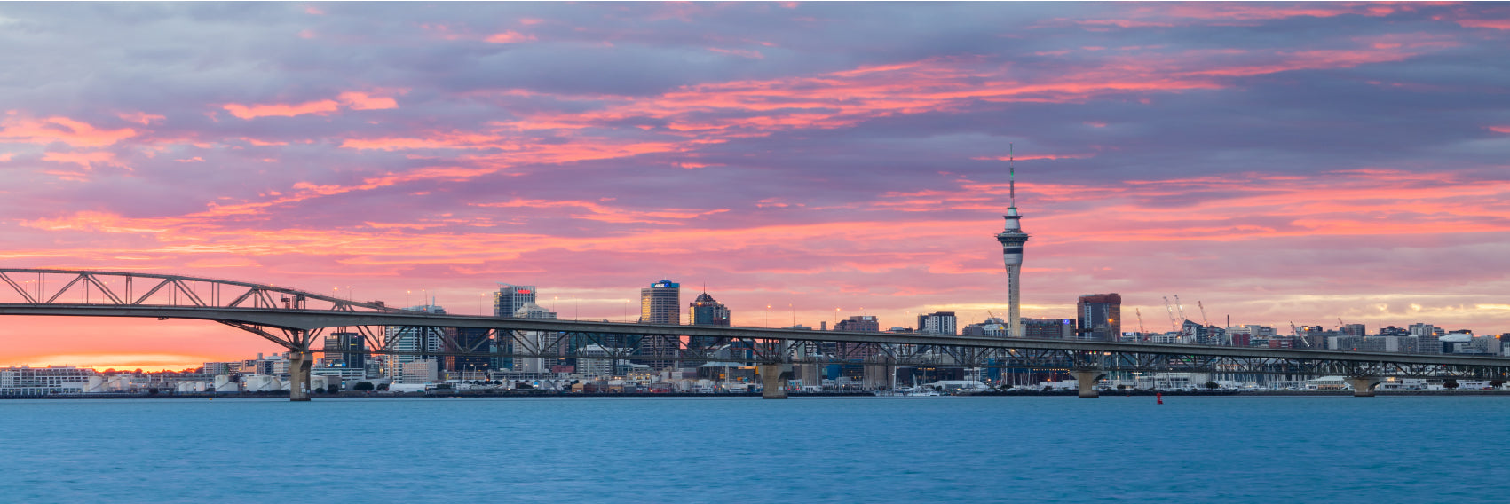 Panoramic Canvas City of Auckland With Pink Sky High Quality 100% Australian Made Wall Canvas Print Ready to Hang