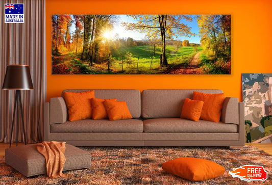 Panoramic Canvas Autumn Trees Pathway Scenery High Quality 100% Australian Made Wall Canvas Print Ready to Hang