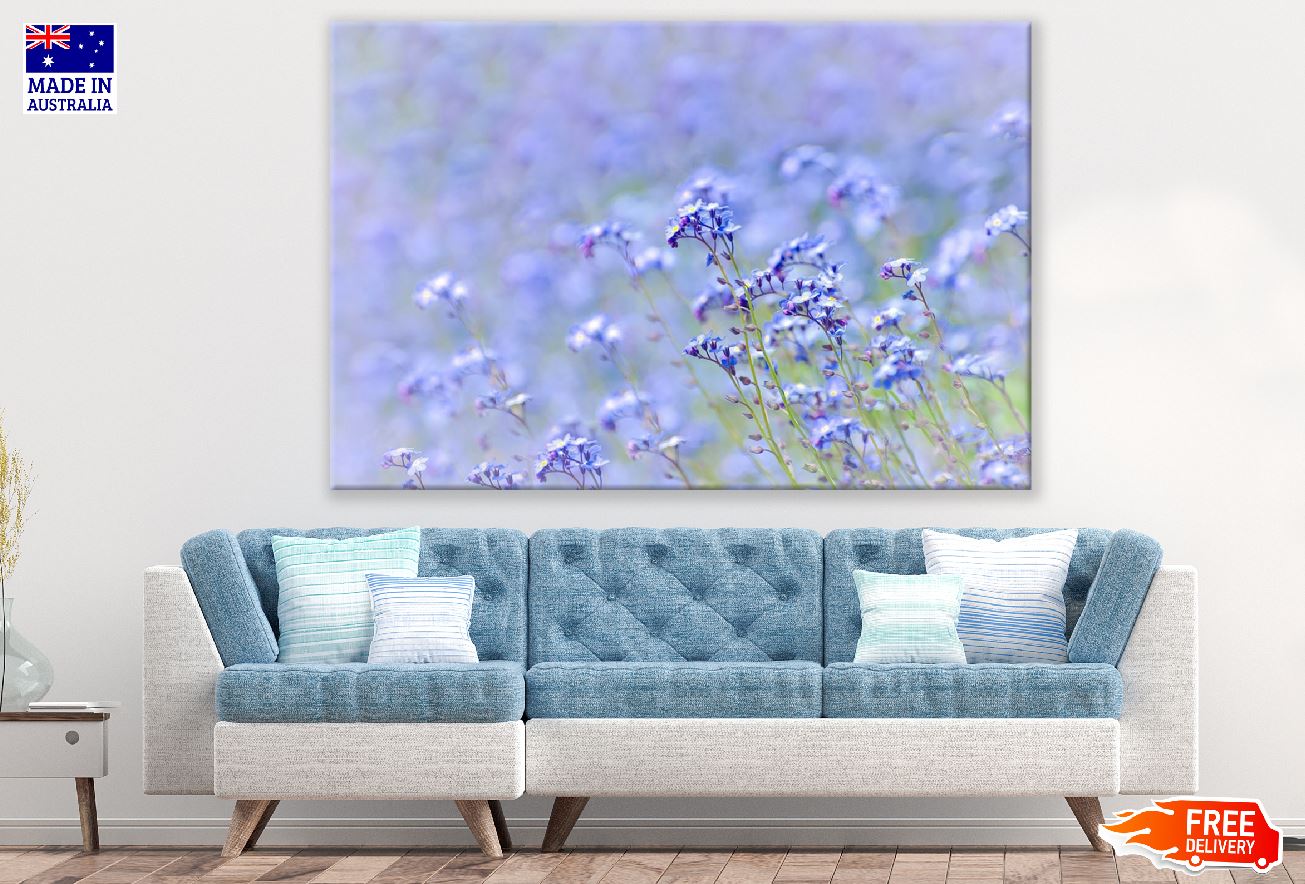 Purple and White Petaled Flowers Photograph Print 100% Australian Made