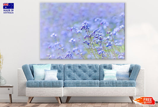 Purple and White Petaled Flowers Photograph Print 100% Australian Made