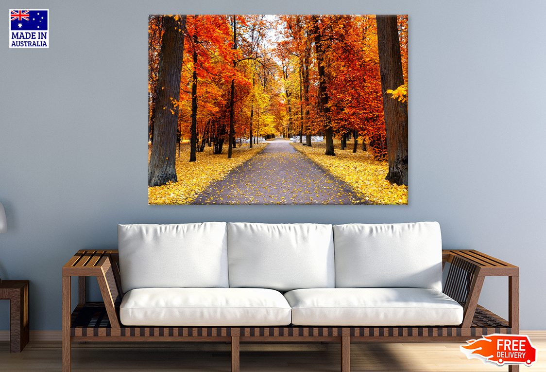 Autumn Landscape Beautiful City Park Photograph Print 100% Australian Made
