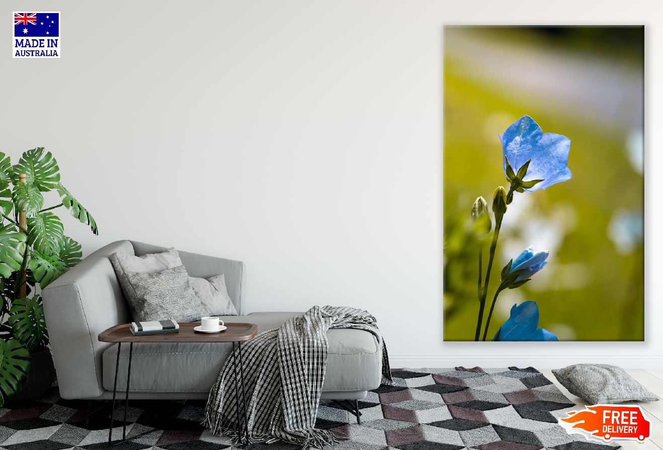 Blue Bellflower Closeup Photograph Print 100% Australian Made