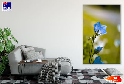 Blue Bellflower Closeup Photograph Print 100% Australian Made