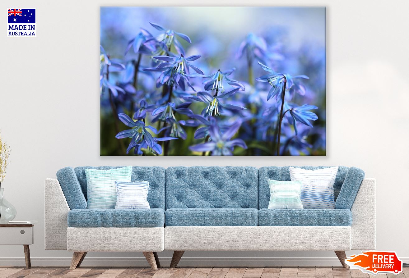 Blue Scilla Flowers Photograph Print 100% Australian Made