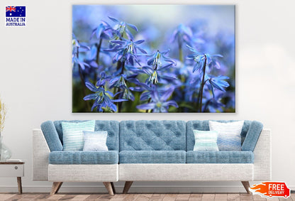 Blue Scilla Flowers Photograph Print 100% Australian Made