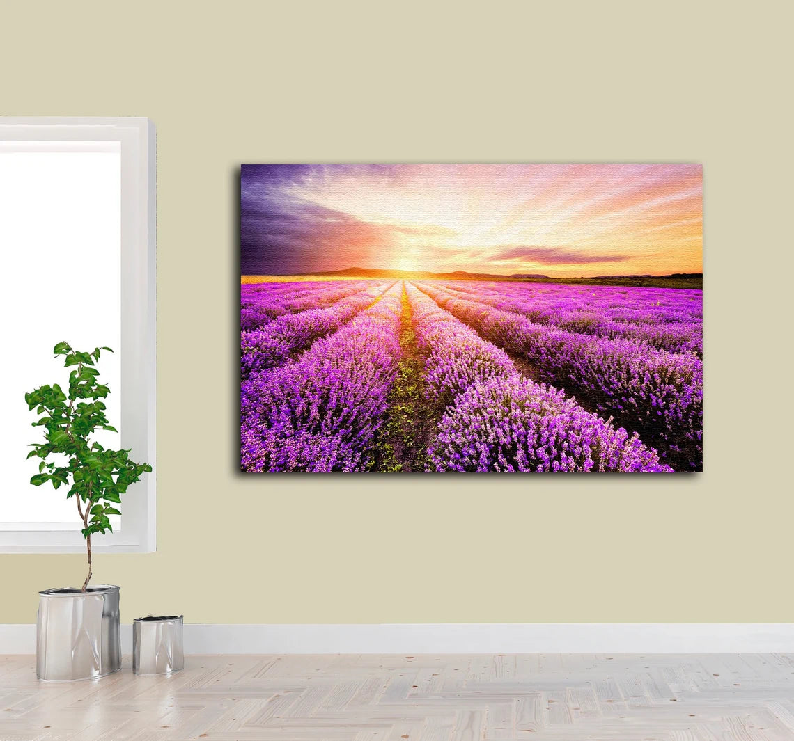 Lavender Field Sunset Scenery Photograph Acrylic Glass Print Tempered Glass Wall Art 100% Made in Australia Ready to Hang