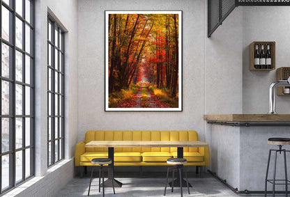 Autumn Forest at Warm Sunlight View Photograph Home Decor Premium Quality Poster Print Choose Your Sizes