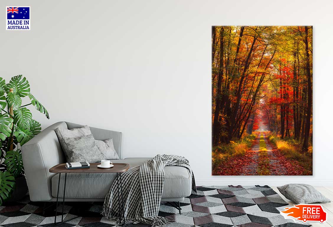 Autumn Forest at Warm Sunlight Photograph Print 100% Australian Made
