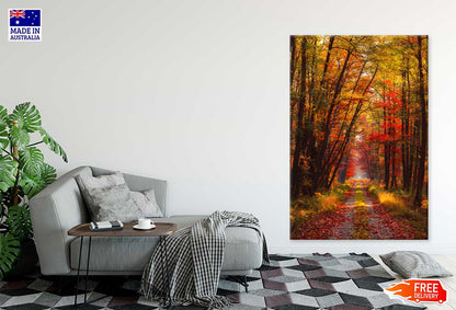 Autumn Forest at Warm Sunlight Photograph Print 100% Australian Made
